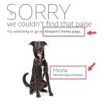 نمونه خطای 404 در امازون 